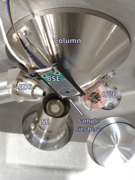 Detectors on the FlexSEM