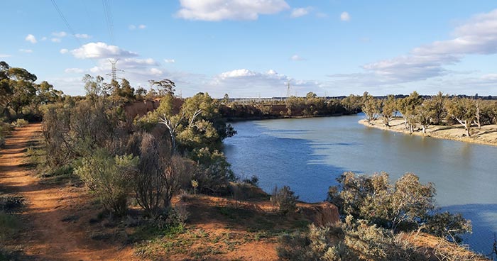 A bend in the Murray River in Red Cliff