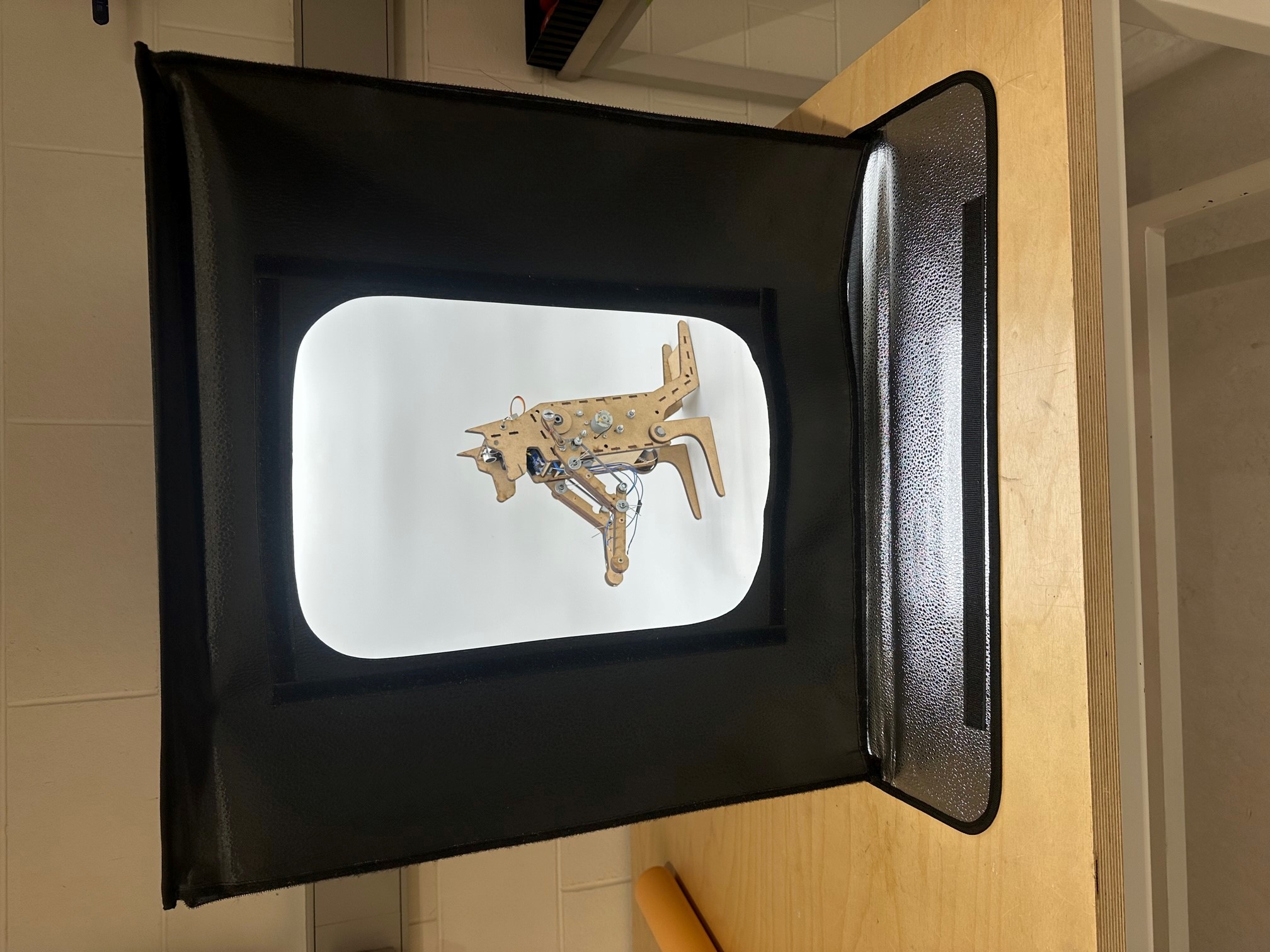 Light Box with laser cut kangaroo