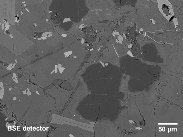 Mineral imaged with BSE detector