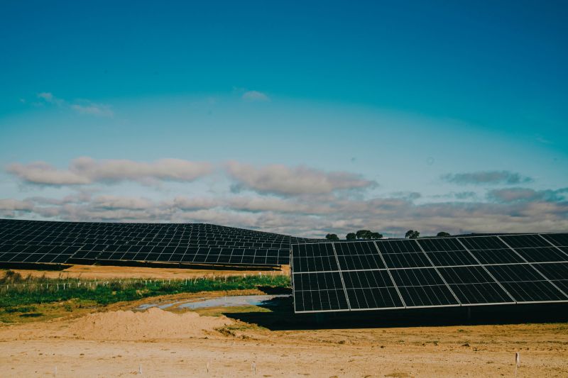 Solar panels in field