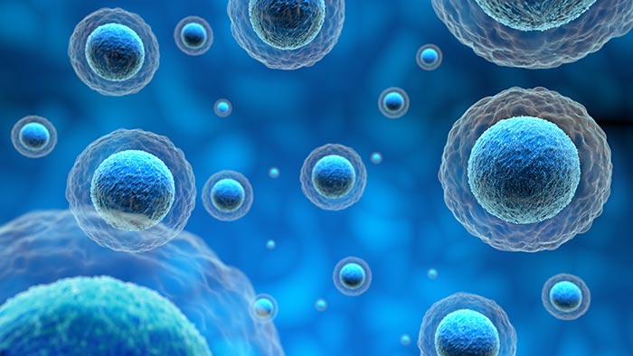 3D render of human cells on blue background