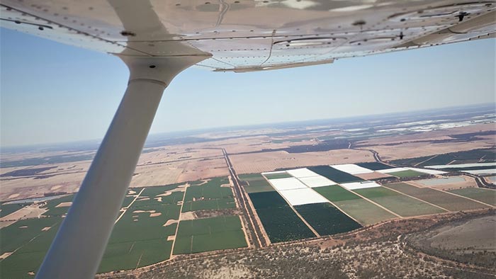 View of crops taken from air with wing of light aircraft visible