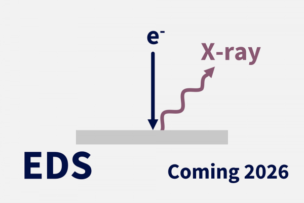 EDS diagram thumbnail