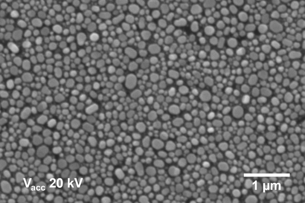 SEM at 20kV