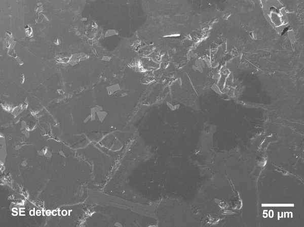 Mineral imaged with SE detector
