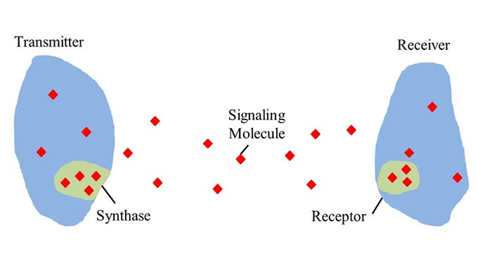 Diagram illustrating molecular communication