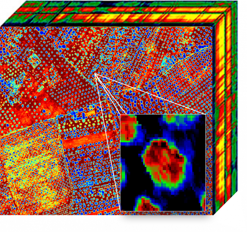 Airborne Hyperspectral Image