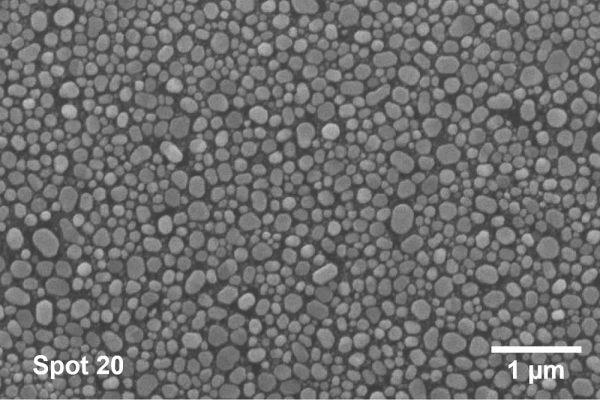 SEM at Spot 20