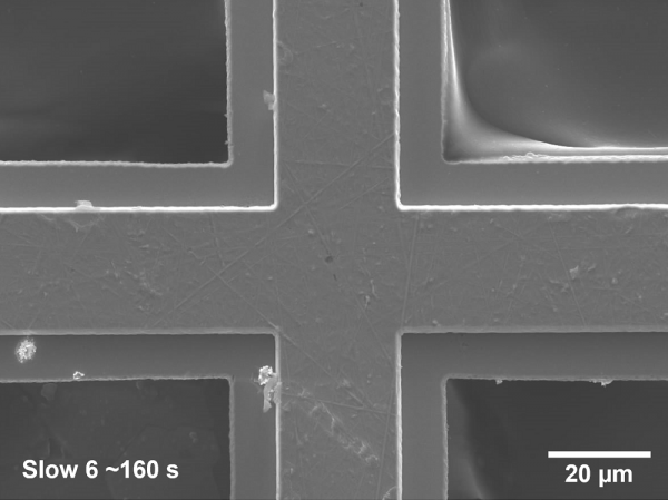 Slow 6 imaging in SEM