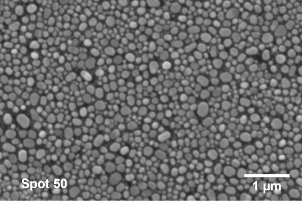 SEM at Spot 50