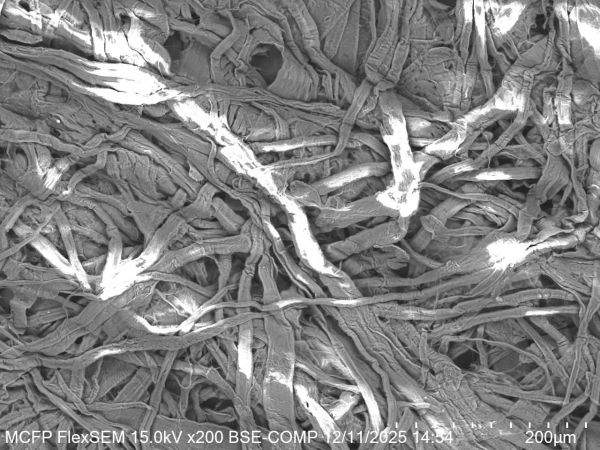 Charging artefact in SEM