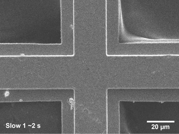 Slow 1 imaging in SEM