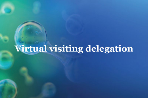 Visiting Delegates Virtual visiting delegation