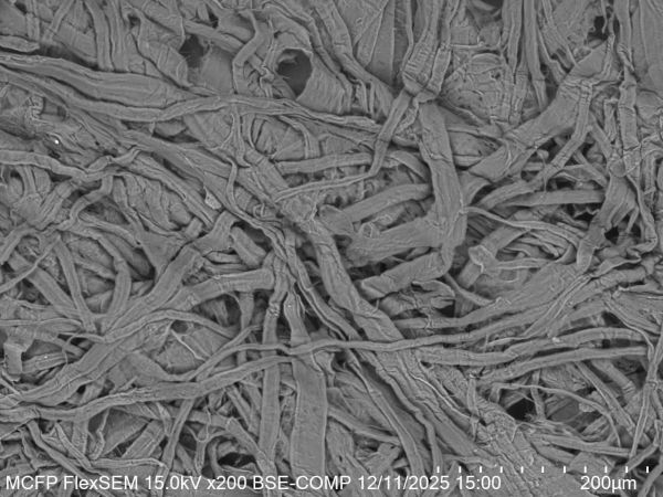 Charge neutralisation using VP-SEM