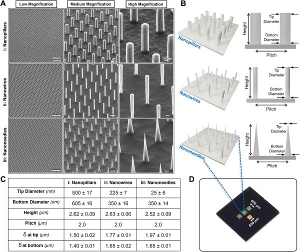 Engineered Nanotopography to Modulate Growth and Signaling of Neuronal Networks Figure 1