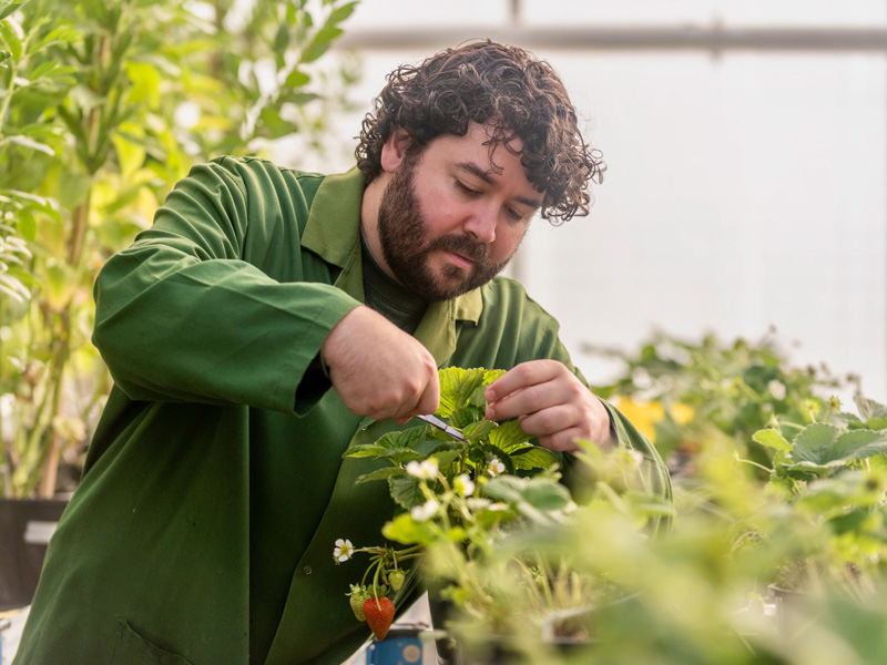Associate Professor Tony Gendall