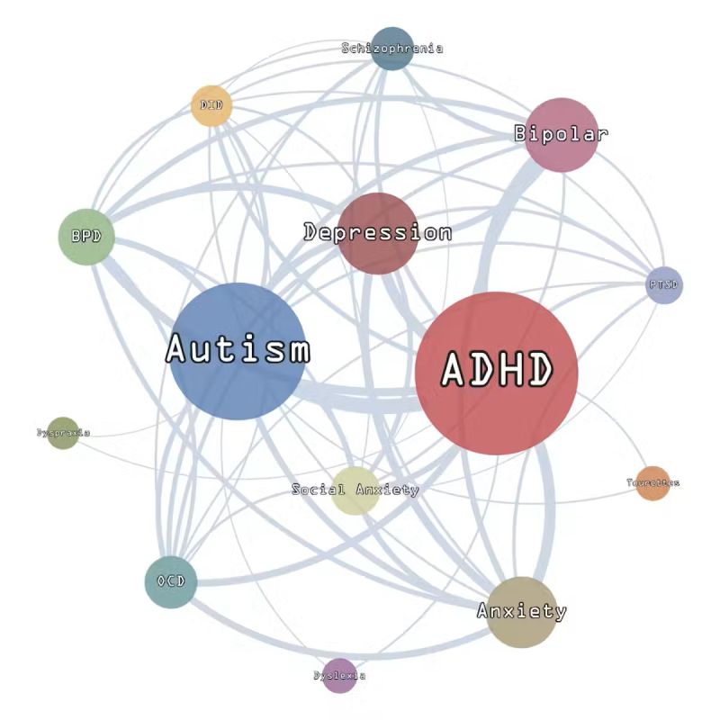 In 2022, ADHD and autism communities had become most popular and prominent (author provided).